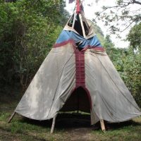 TIPI TIPI